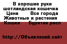 В хорошие руки шотландская кошечка › Цена ­ 7 - Все города Животные и растения » Кошки   . Бурятия респ.